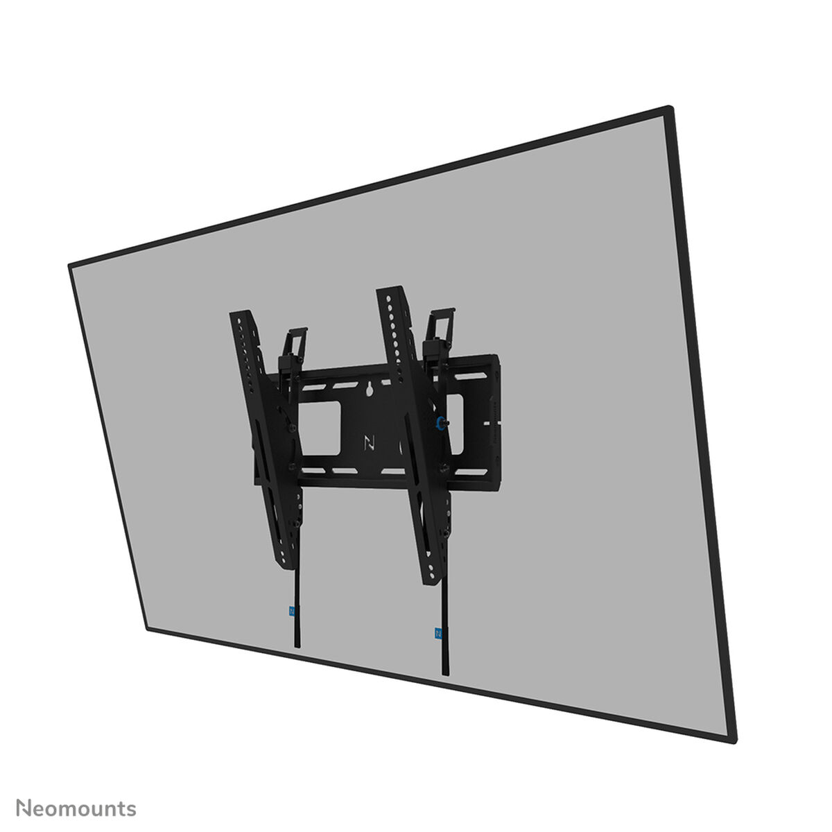 S55284907_2